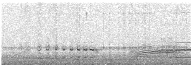 potápka rudokrká - ML21843731