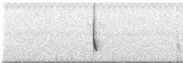 Peruvian Meadowlark - ML218486