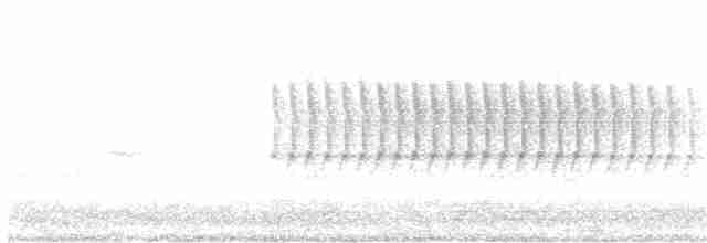 Юнко сірий (підвид hyemalis/carolinensis) - ML218493801