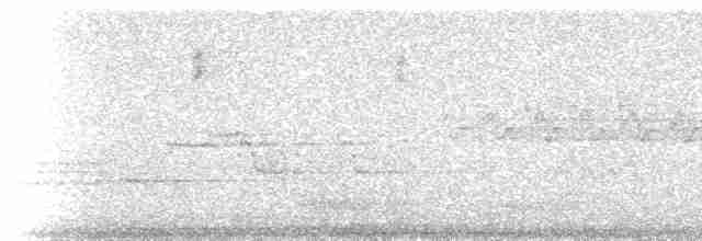 Münzevi Bülbül Ardıcı - ML218494