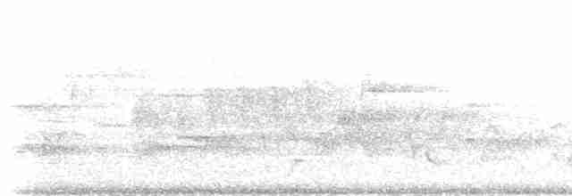 Пересмішник сірий - ML218498