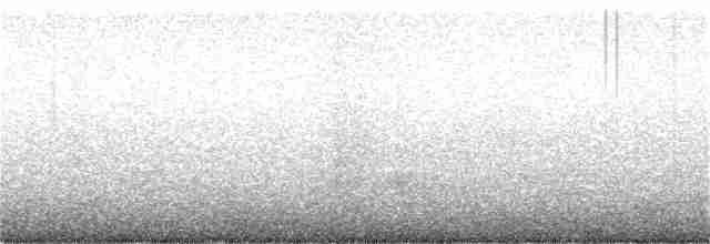 Сова неоарктична - ML218505801