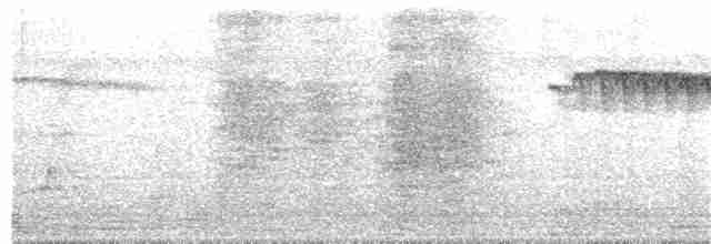 Пестрогорлый алапи (pyrrhonota) - ML218560231