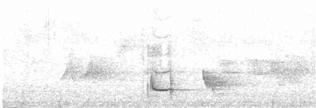Тиран-плоскодзьоб малий - ML218578461