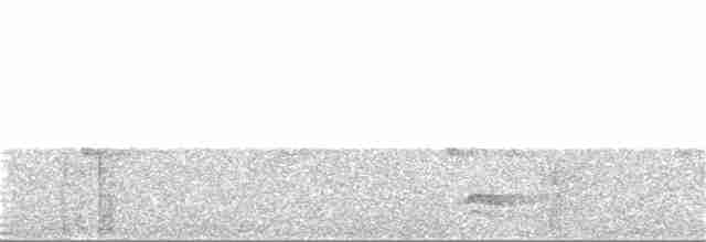 Капюшоновый трёхпалый тинаму - ML218619141