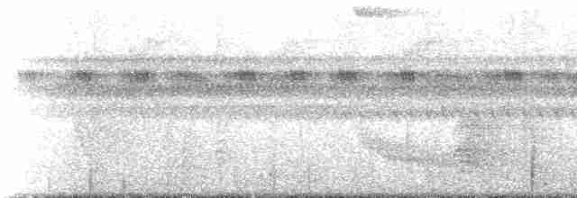 hvitkronemanakin (pipra) - ML218648
