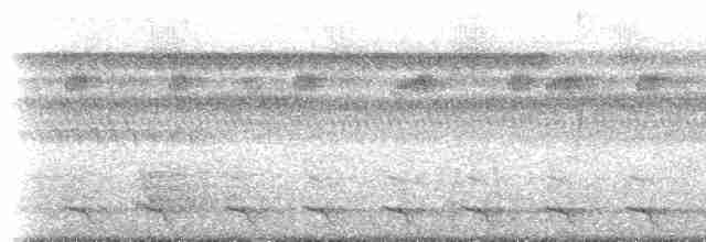 hvitkronemanakin (pipra) - ML218651