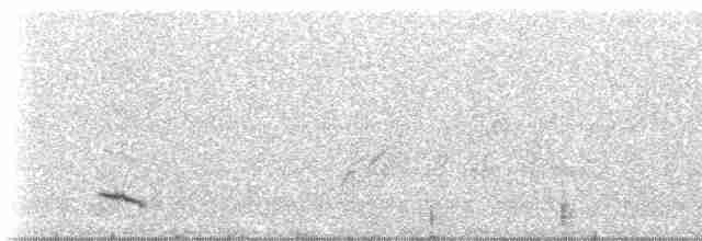 Iiwikleidervogel - ML218685