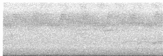 Gray-crowned Crocias - ML218687561