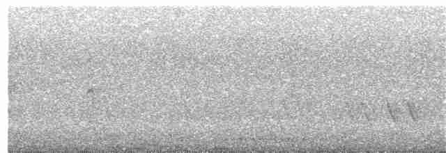 Gray-crowned Crocias - ML218687651