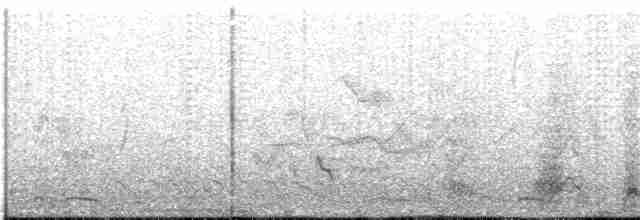 Арауканская чачалака - ML218700241