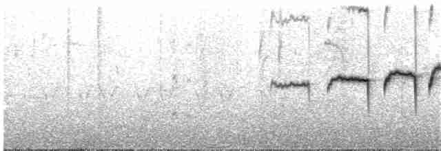 Itatiaia Spinetail - ML218702111