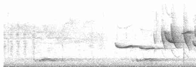 Spot-throated Babbler - ML218709661