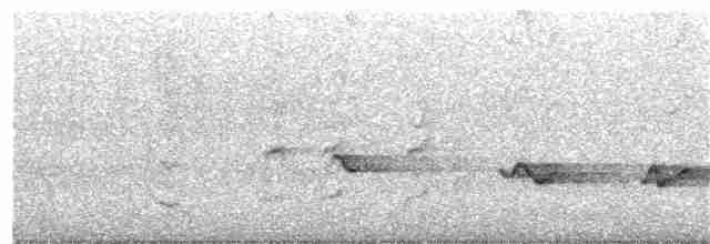 Silver-eared Mesia - ML218729161