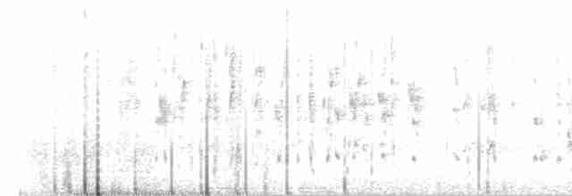 Marsh Wren (palustris Group) - ML218745671
