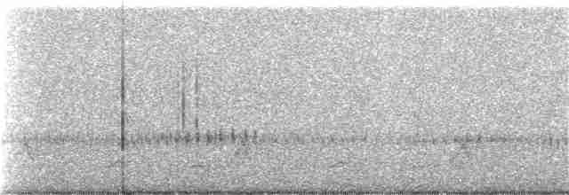 Schwarzkehl-Nachtschwalbe - ML218773121