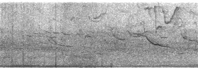 Al Kanatlı Karatavuk [phoeniceus grubu] - ML218780561