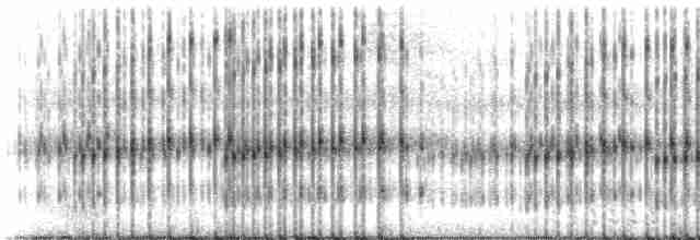 Striped Chorus Frog - ML218784