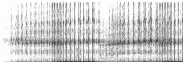 Striped Chorus Frog - ML218793