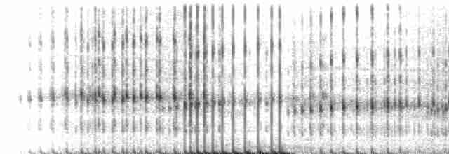 Striped Chorus Frog - ML218795