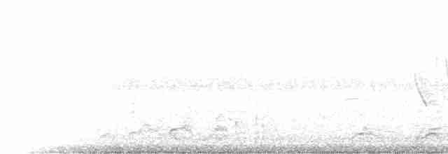 Weißbrauenweihe - ML218800