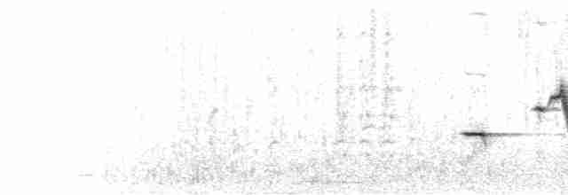 Western Meadowlark - ML218834801