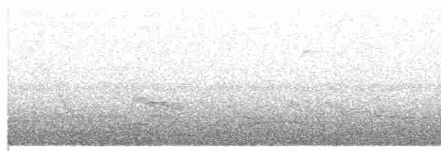 Hyacinth Visorbearer - ML218872201
