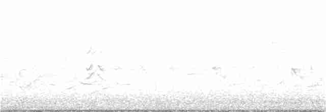 potápka nejmenší - ML218884101