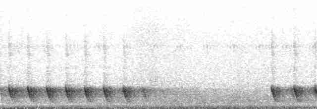 Gray Nightjar - ML218899371