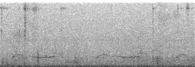 Schwarzkehl-Nachtschwalbe - ML218899681