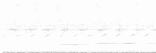 Cinereous Tinamou - ML218900671