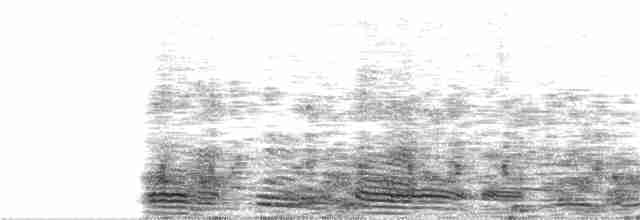 Ібіс сивоперий - ML218926471