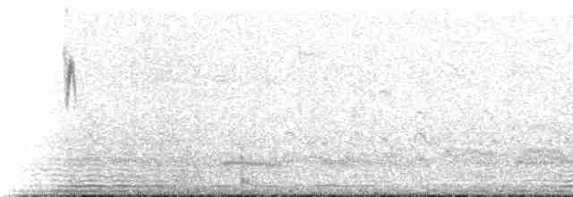 White-browed Meadowlark - ML218944