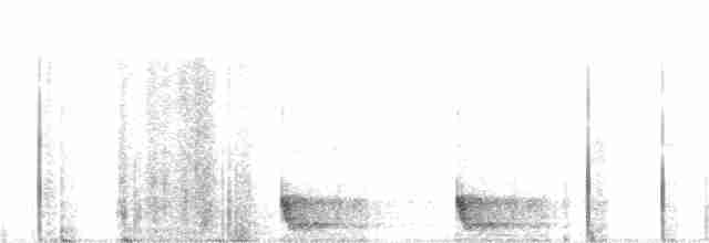 Large-tailed Nightjar - ML218970401