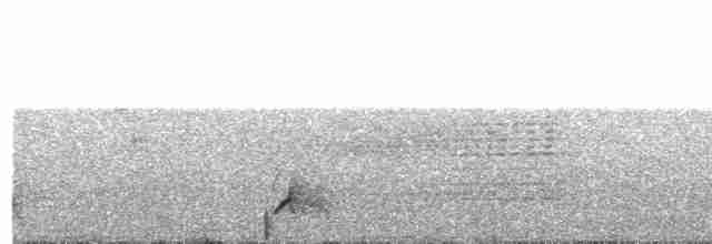 White-eared Puffbird - ML218990841