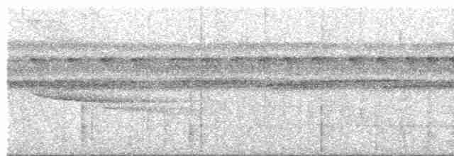 Чернолицая агуйла - ML218993261