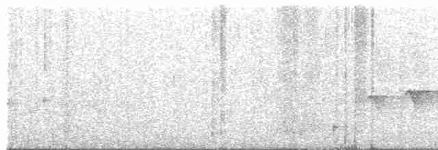 Kara Gıdılı Karıncakuşu - ML218994151