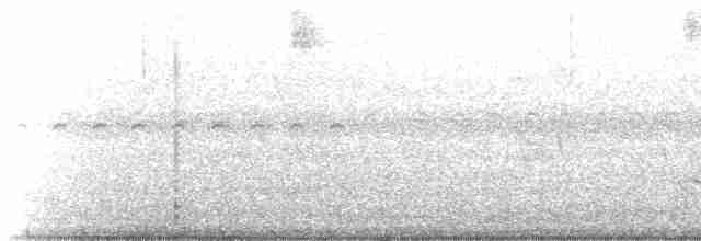 Weißbrauenweihe - ML219000
