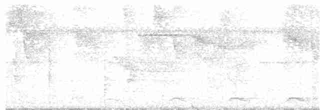 Lacivert Kuyruklu Trogon - ML219003081