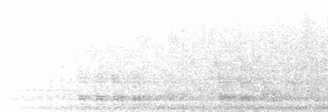 Сичик-горобець євразійський - ML219066901