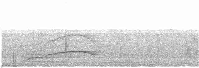 lenivka černolící - ML219106351
