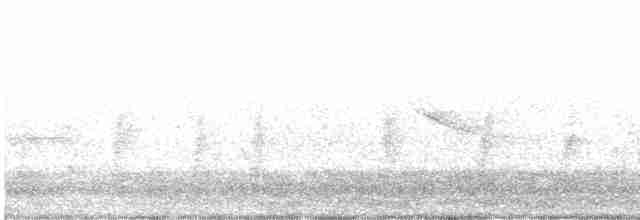 Калифорнийская кукушка-подорожник - ML219130741