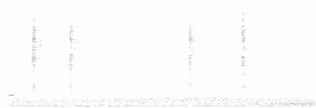Troglodyte des marais - ML219146101