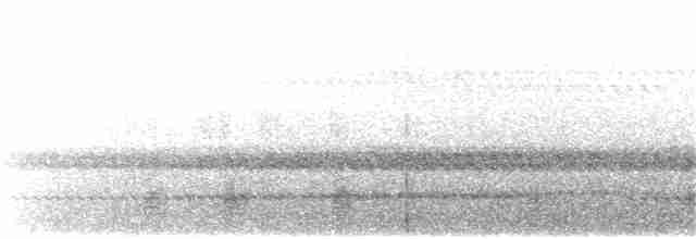 Дрімлюга гірський (підвид poliocephalus) - ML219160671