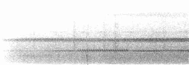 Дрімлюга гірський (підвид poliocephalus) - ML219163751
