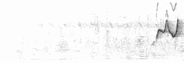 Ластівка ниткохвоста - ML219211381