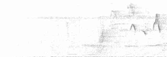 Kahverengi Gerdanlı Nektarkuşu - ML219216551