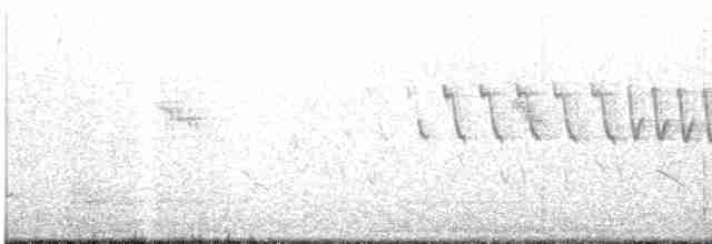 Curve-billed Thrasher - ML219221861