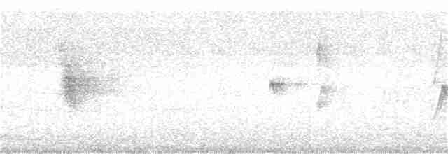 סנונית רפתות - ML219232821