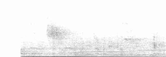 Hirondelle des Nilgiri - ML219271321